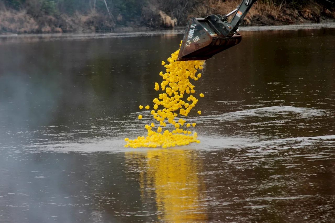 Rubber ducks race for grand prize and good cause