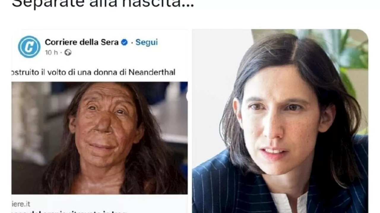 Il politico di Fratelli d'Italia che paragona Elly Schlein alla donna di Neanderthal