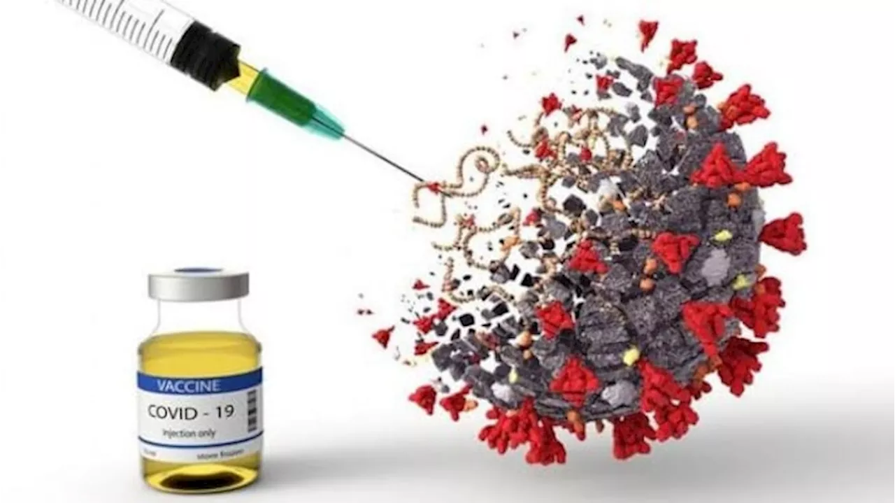Geger Vaksin COVID-19 AstraZeneca, Ketua KIPI Sebut Tidak ada Kejadian TTS di Indonesia