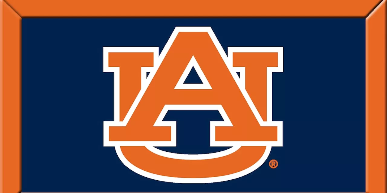 Auburn softball drops extra-inning pitching duel to No. 17 Alabama