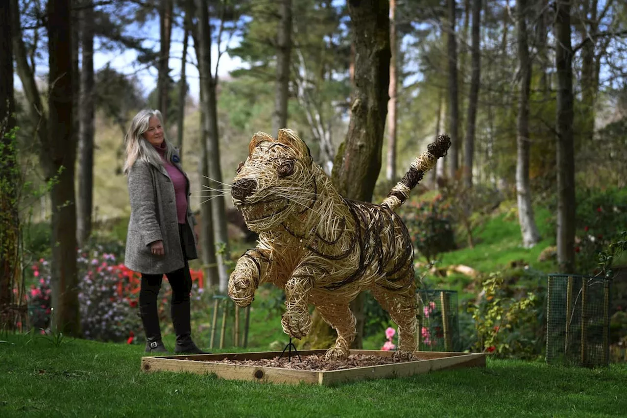 Why tigers, elephants and rhinos have taken up residence at Yorkshire sculpture park