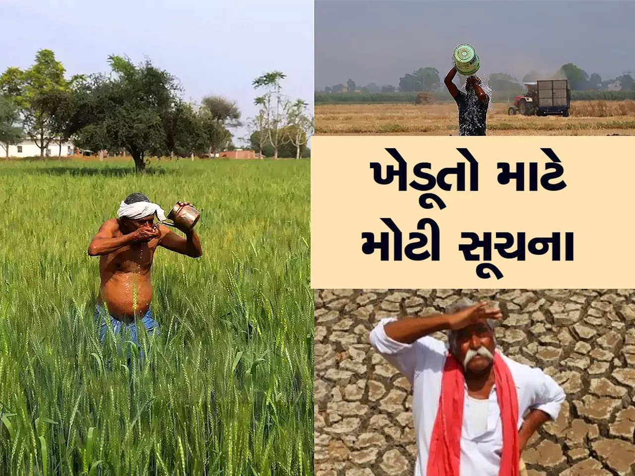 ગુજરાતના ખેડૂતો માટે ખાસ એડવાઈઝરી જાહેર, હીટવેવમાં આટલી બાબતોનું ધ્યાન રાખજો