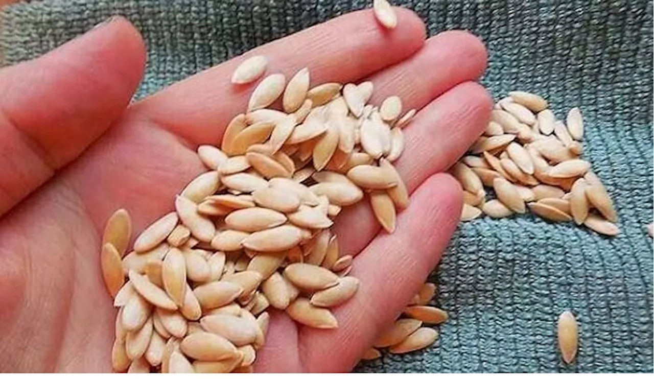 Health Seeds: మధుమేహం వదలడం లేదా, రోజూ ఈ విత్తనాలు తీసుకుంటే చాలు