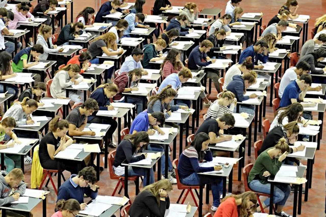 Test medicina 2024, online la banca dati con le possibili domande: ecco come esercitarsi
