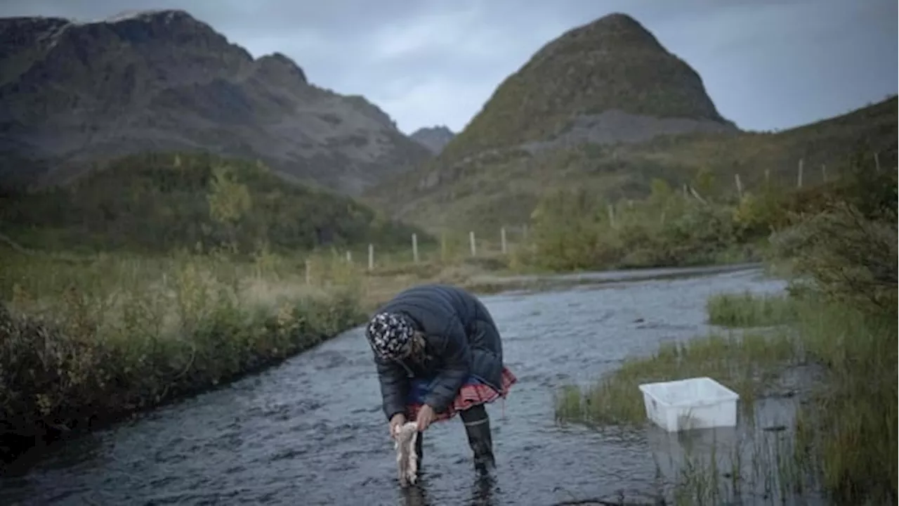 This court case could set groundbreaking precedent for Indigenous land rights in Europe