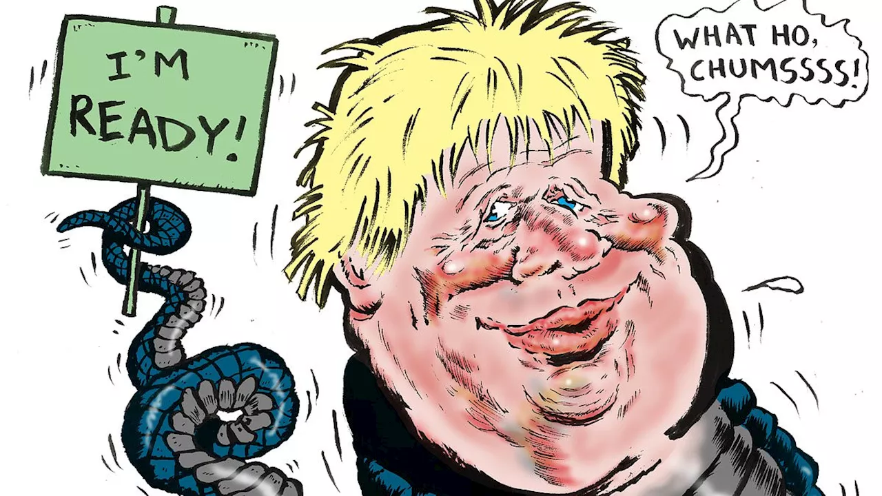 INSIDE WESTMINSTER: How 'coiled mamba' Boris could come back to save the Tories from total...