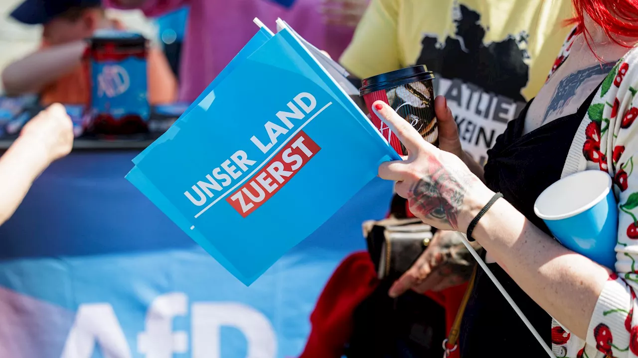 Wahlkampfstand der AfD in Dresden angegriffen
