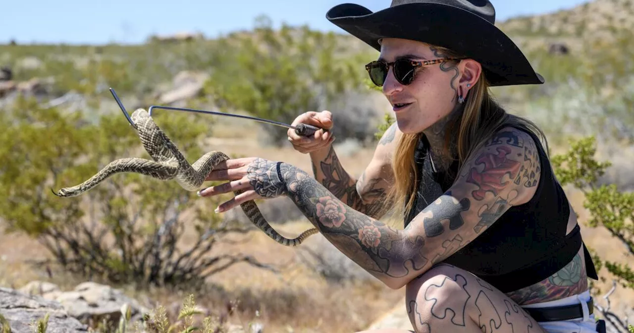 Joshua Tree's celebrity rattlesnake wrangler wants to change how you see reptiles