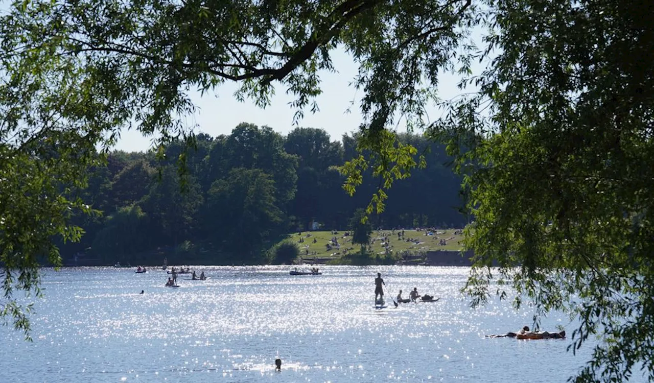 Wasser nicht einmal 70 Zentimeter tief: Mann springt kopfüber in den Stadtparksee