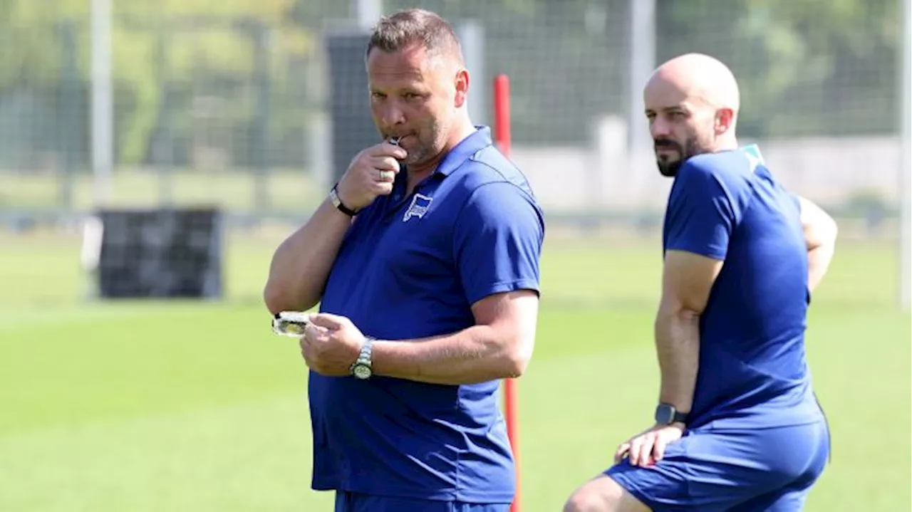 Hertha-Trainer Dardai verspricht Gulasch bei Torfestival