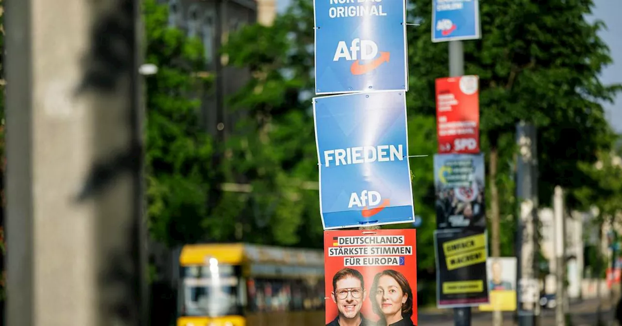 Wahlkampfstand der AfD in Dresden angegriffen​