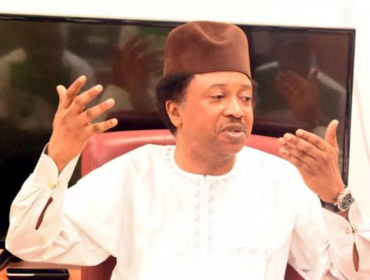 Shehu Sani: Power devolution, electoral reform should be prioritised in constitution amendment