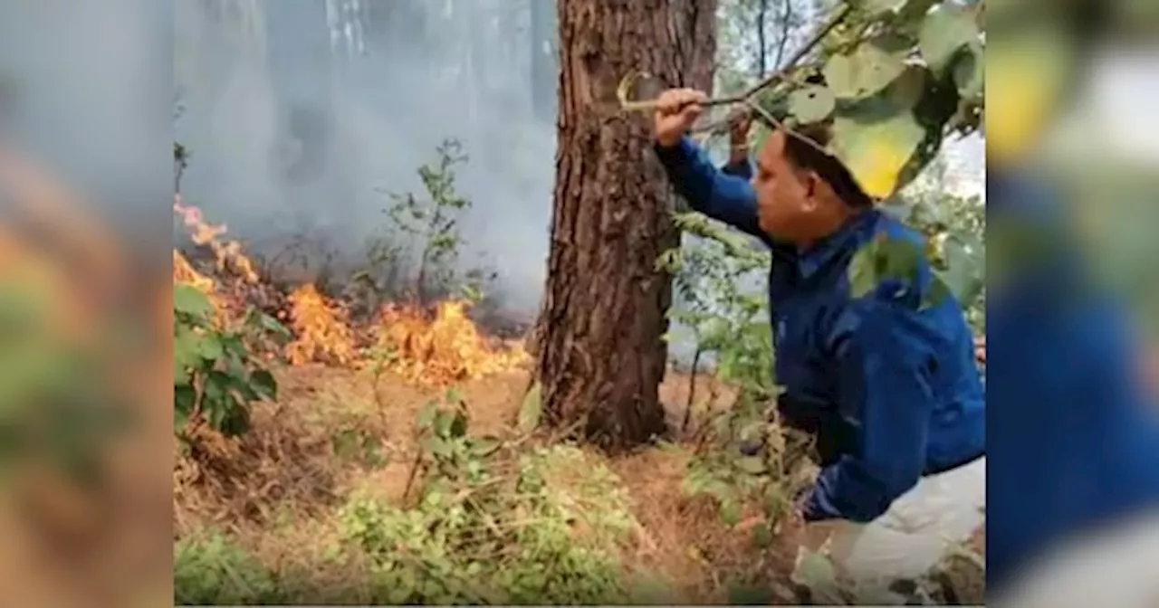 Uttarakhand Forest Fire : नैनीताल में खुले में जलाया कूड़ा तो होगा बड़ा एक्‍शन, रामनगर और हल्‍द्वानी में NDRF तैनात