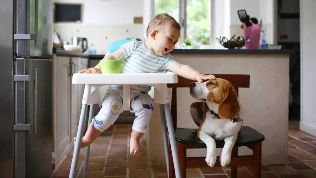 Top baby names in NSW revealed - from old classics to trendsetters