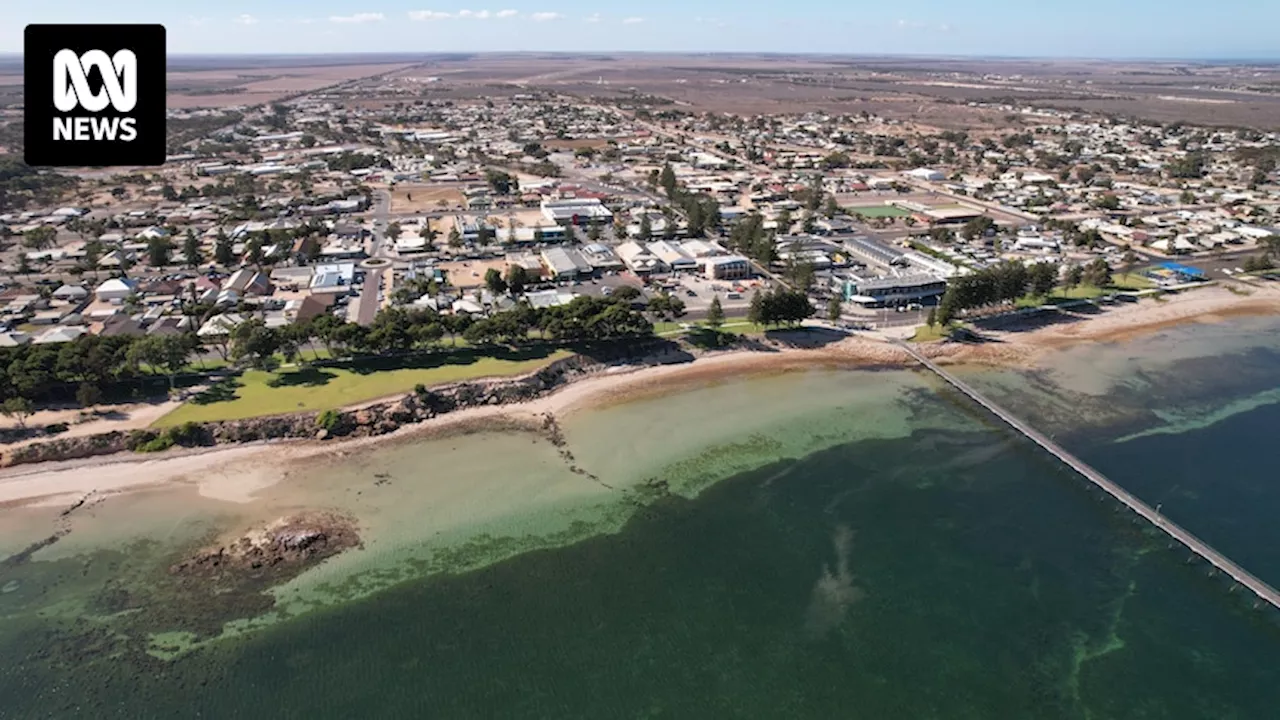 Ceduna frustrated with alcohol-related issues as leaders call for investment in housing and jobs