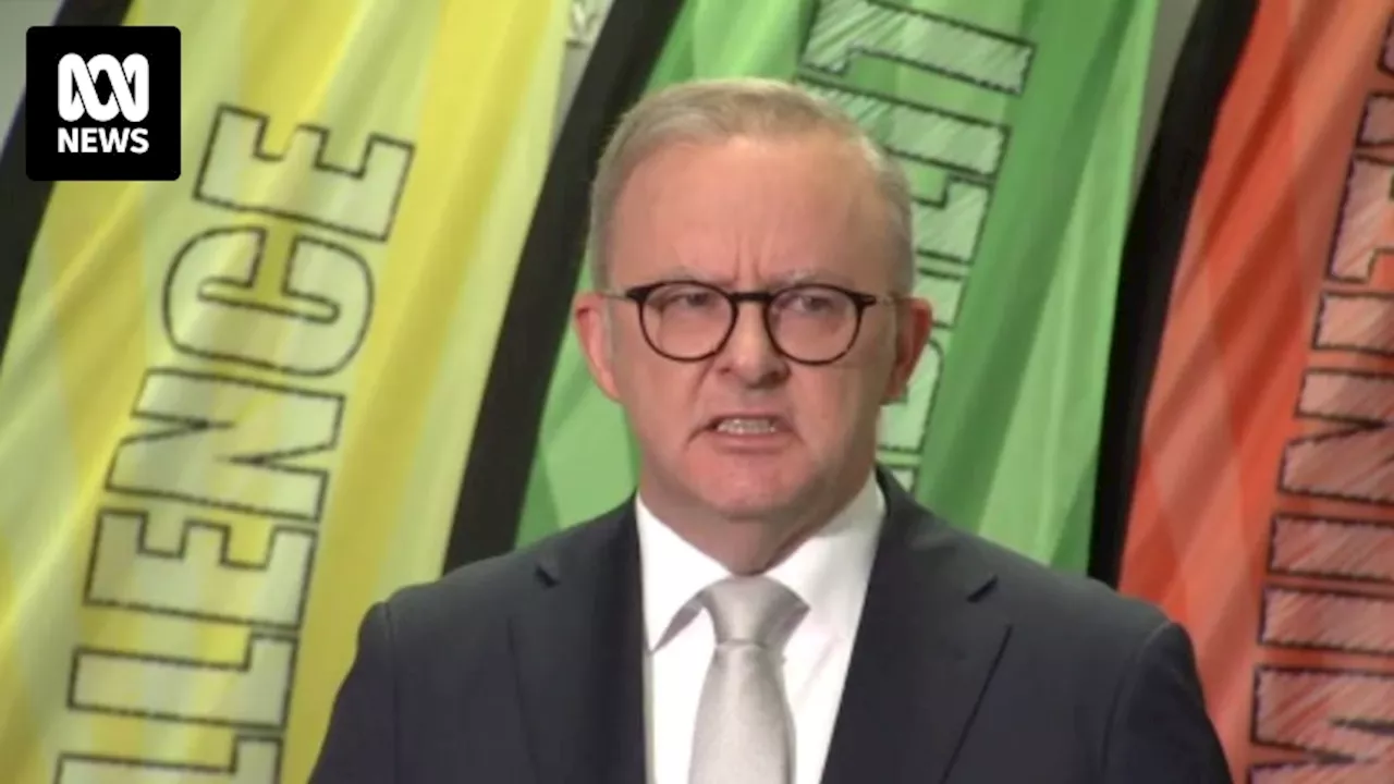 High Court immigration detention fallout has Anthony Albanese seeking independence from own government