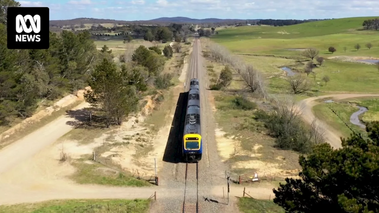 New convention centre, stadium upgrade, hop-on hop-off bus recommended as ways to improve Canberra's standing on the world stage