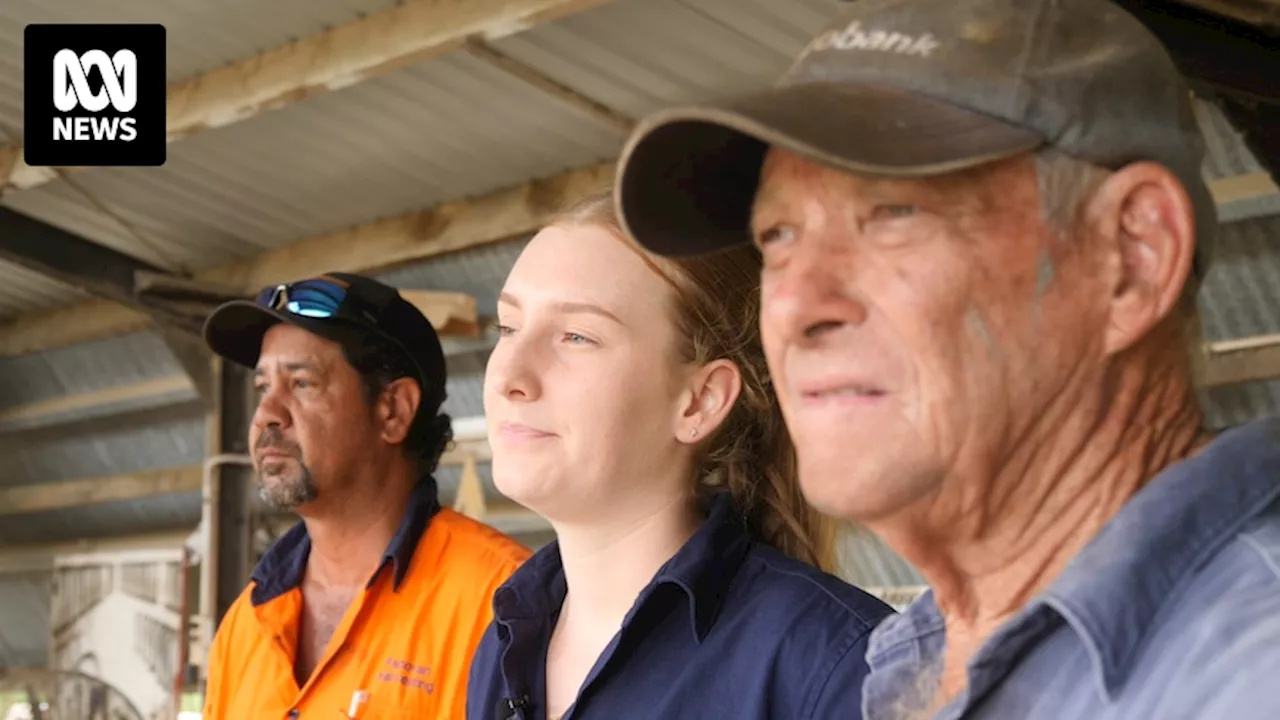 With mill closure looming, Mossman sugarcane farmers face a lost harvest and uncertain future