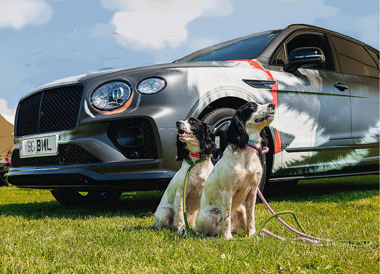 Bentley a evento Goodwoof, il lusso a disposizione dei cani