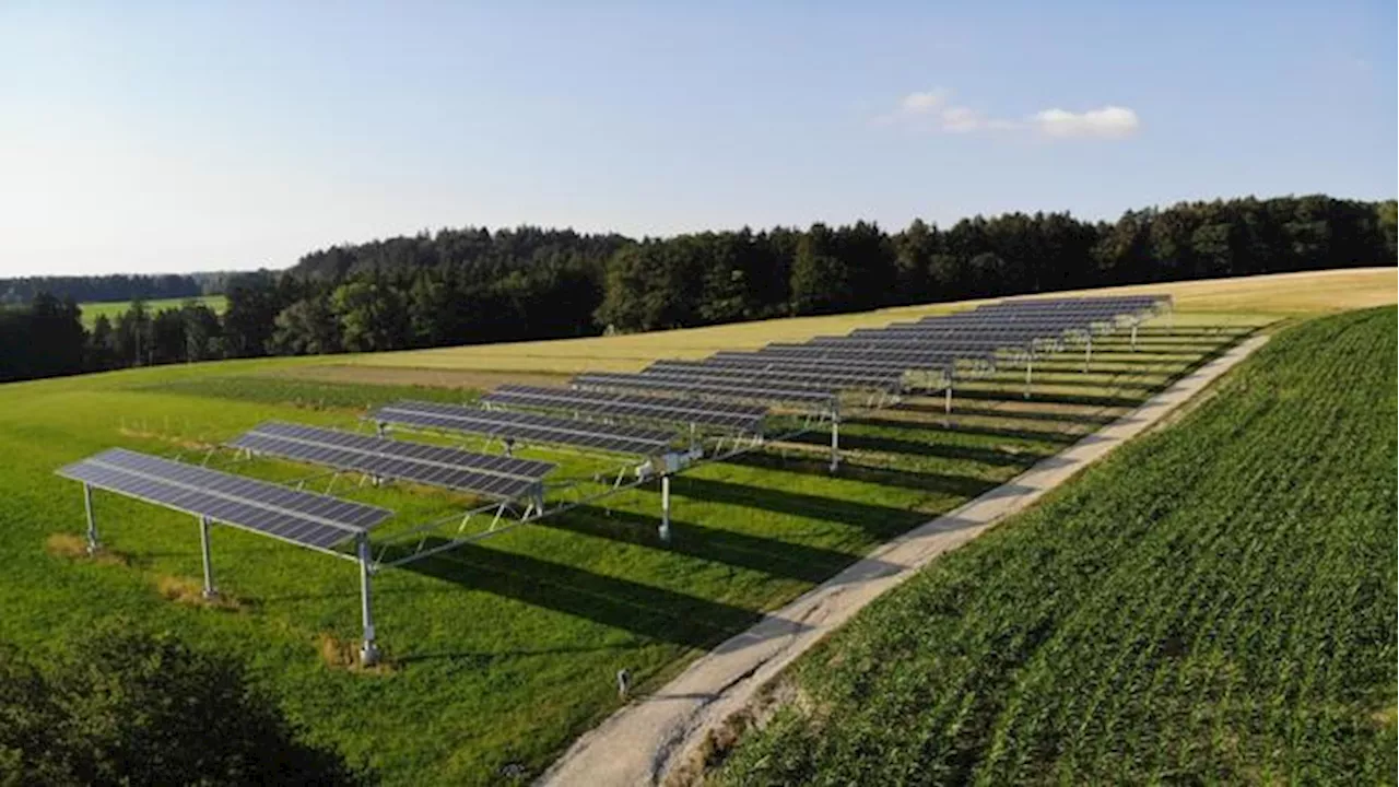 Ef solare, 318 impianti, capacità fotovoltaica sale a 1.055 MW