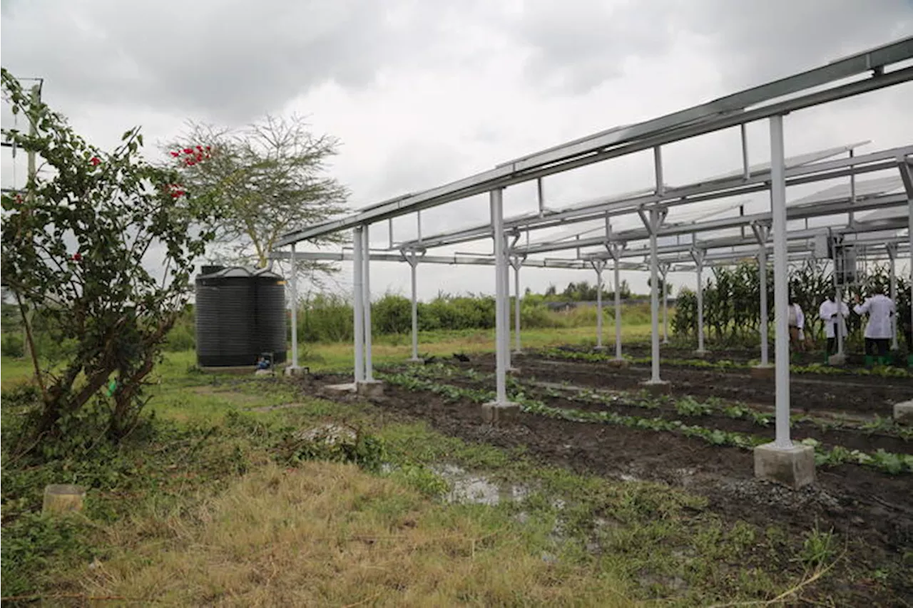 Free, 'decreto agricoltura farà fallire obiettivi sul clima'