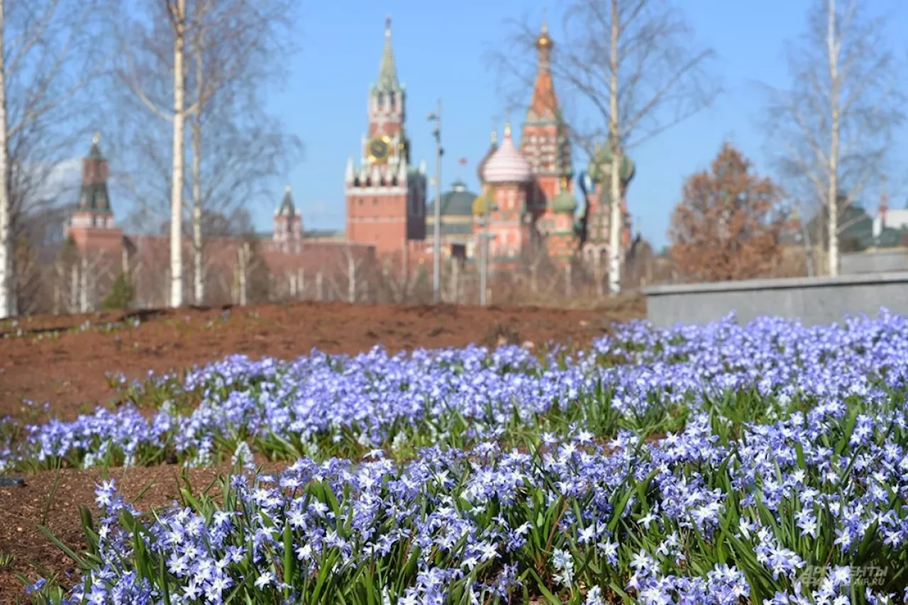 Собянин: Майские праздники Москва встречает чистой, ухоженной и красивой