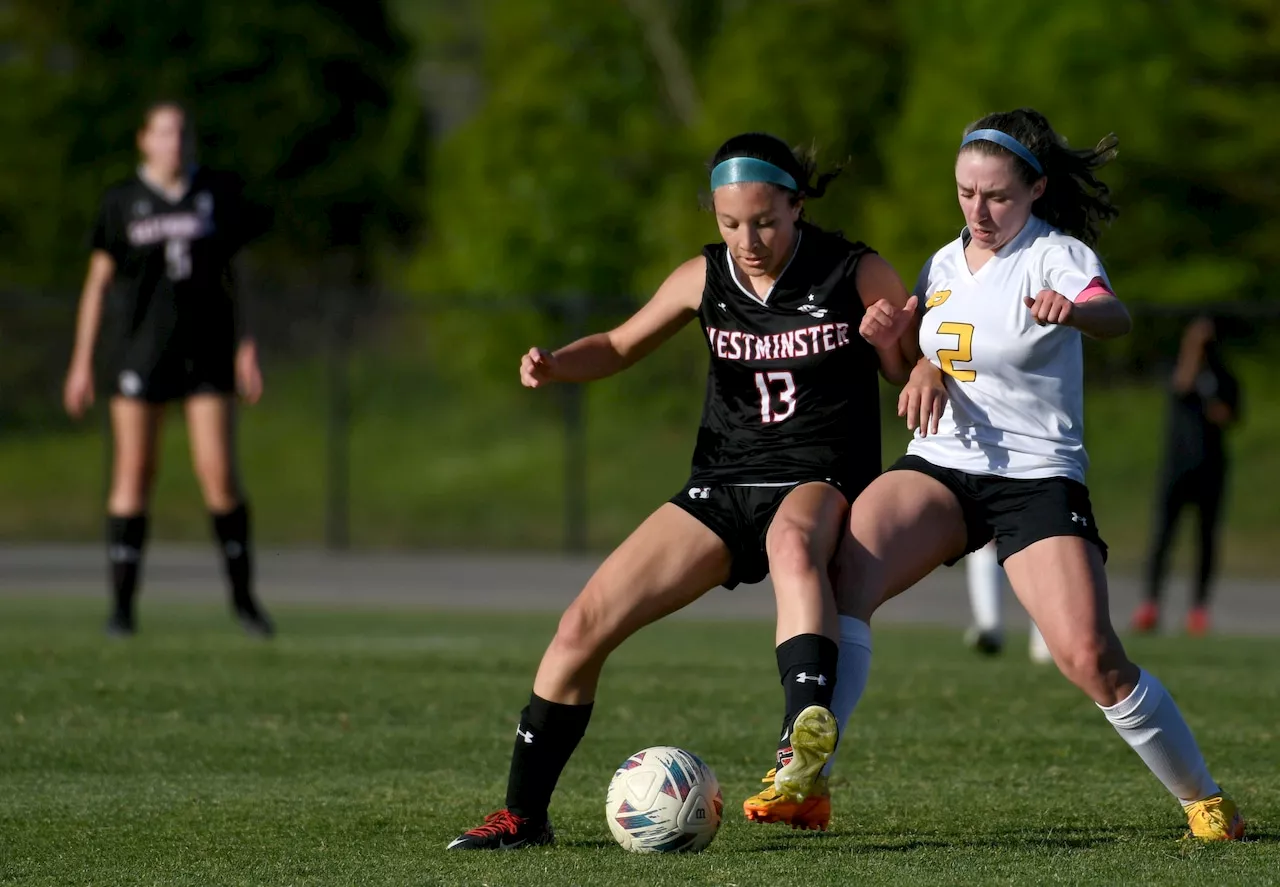 AHSAA soccer final four begins Wednesday with 5 defending champions in field