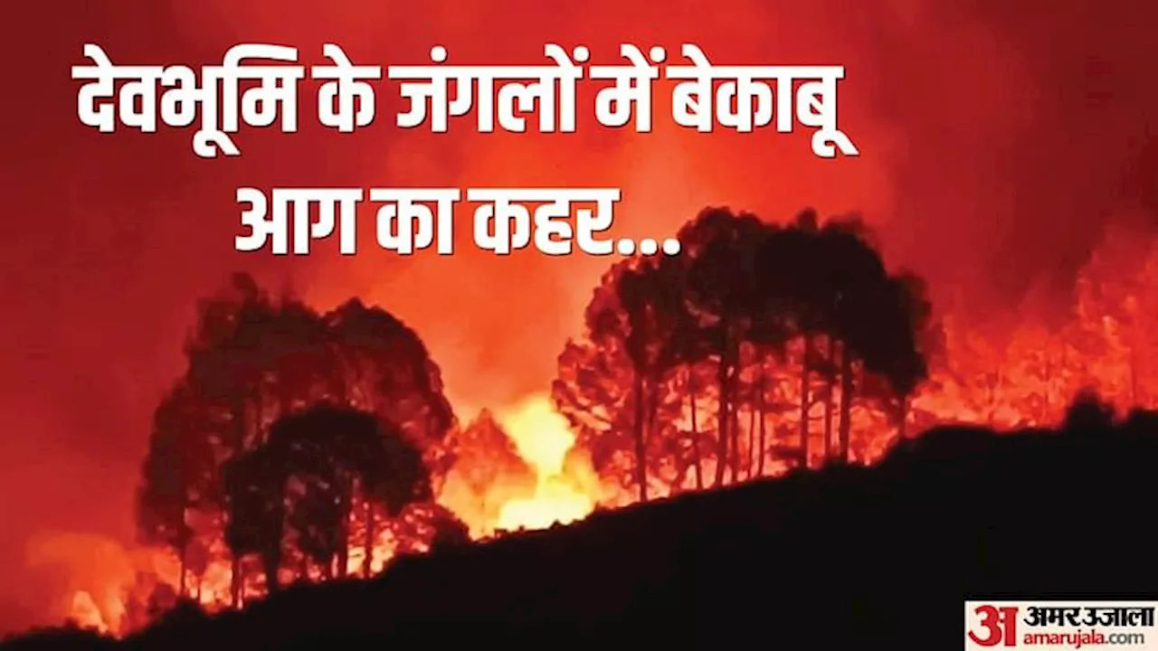 उत्तराखंड में जंगल की आग बेकाबू: 930 घटनाओं में पांच की मौत, मोर्चे पर NDRF को भी उतारा, ये है सरकार की तैयारी