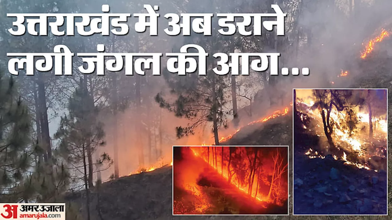 Burning Forest: पहाड़ों में बेकाबू आग ने मचाया तांडव, पिथौरागढ़ में 106 जगह धधके जंगल; काबू करना हुआ मुश्किल