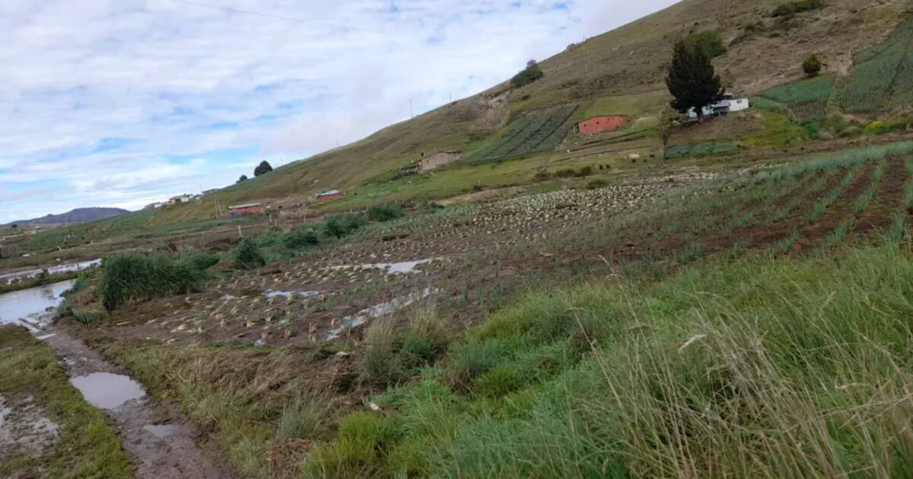 Más de 100 damnificados en Tona, Santander, por lluvias que ocasionaron inundaciones