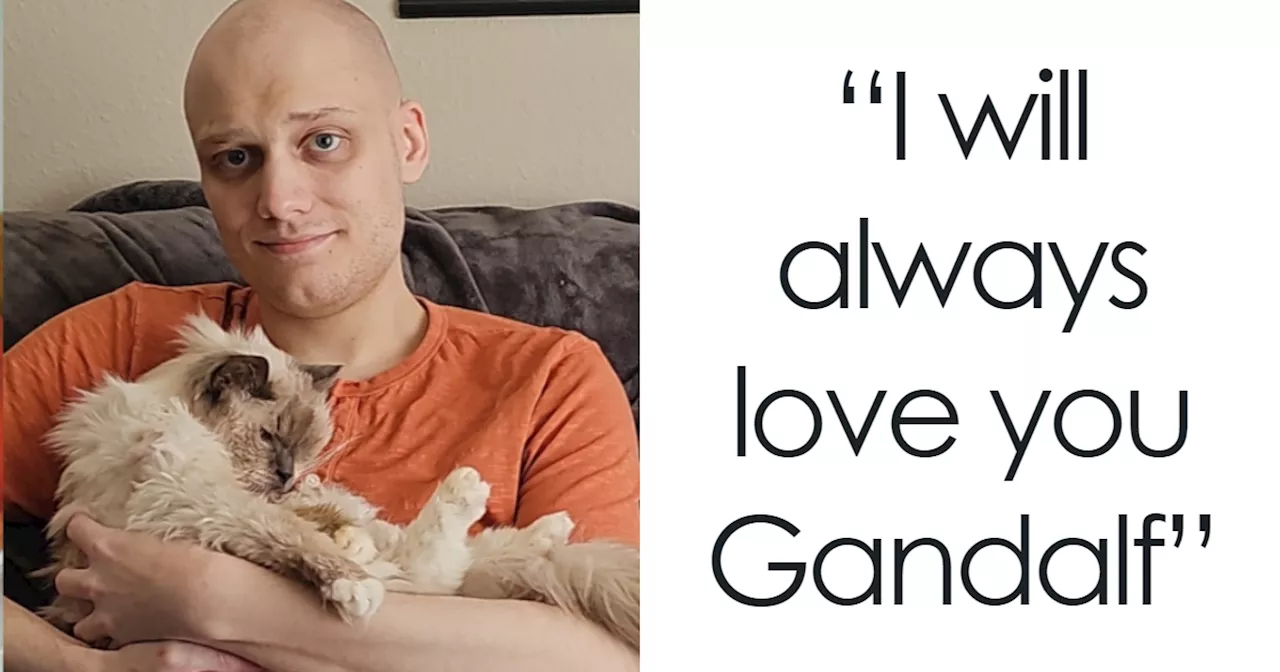 “I’m Gonna Go Cry”: Man Recreates Photo With Childhood Cat Before Putting Him To Sleep