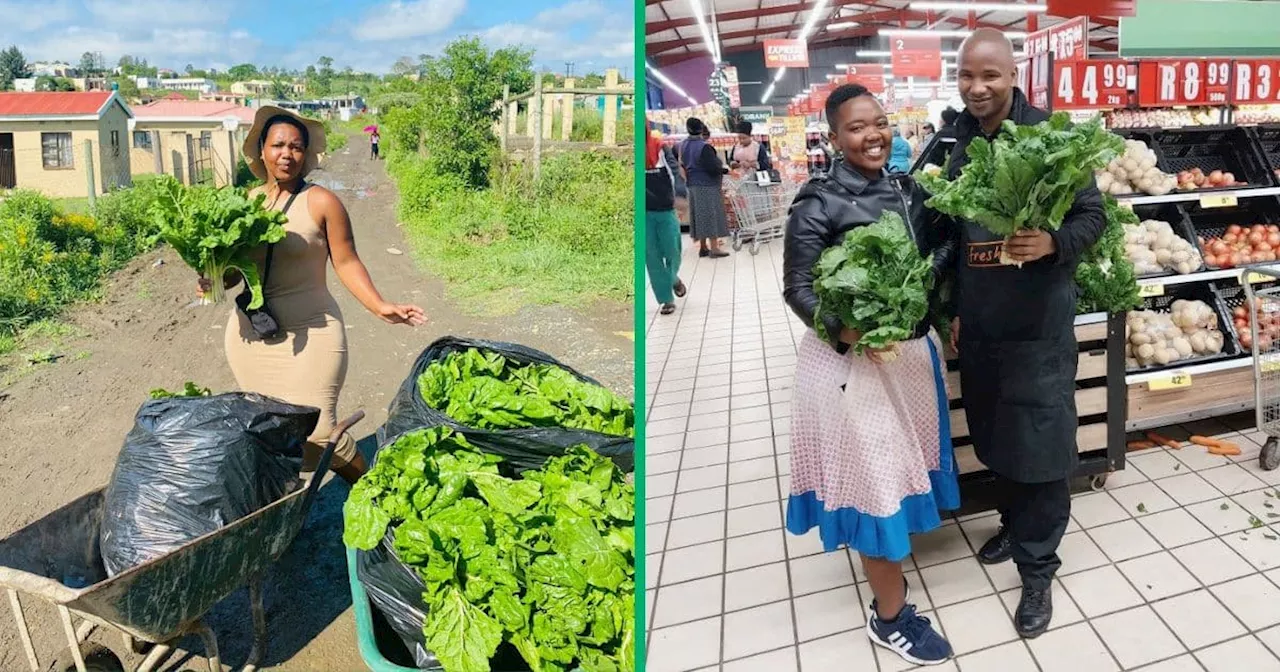 Eastern Cape Female Farmer Beats Unemployment, Supplies Fresh Veggies to Major Retailer Boxer