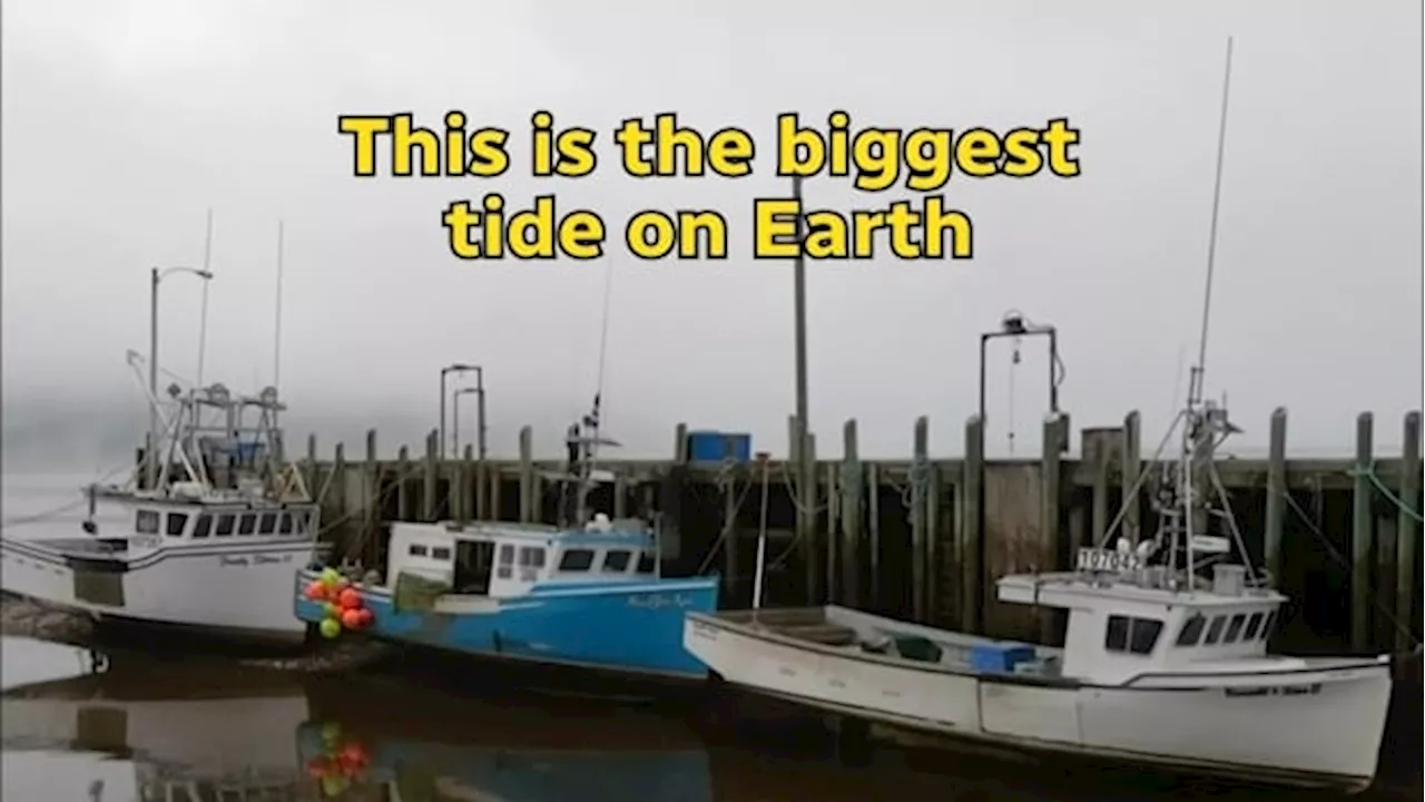 This is the biggest tide on Earth — and it's in Canada