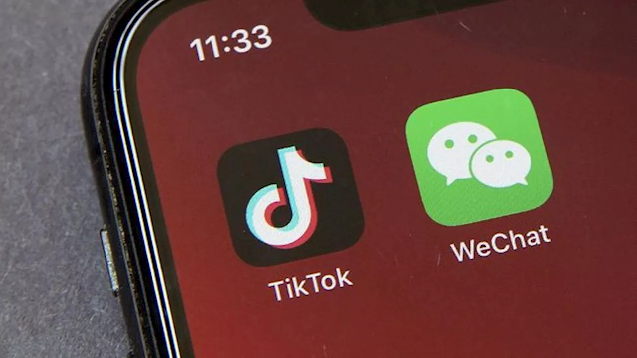 Joe Biden Blokir TikTok, Instagram Cs Langsung Bereaksi