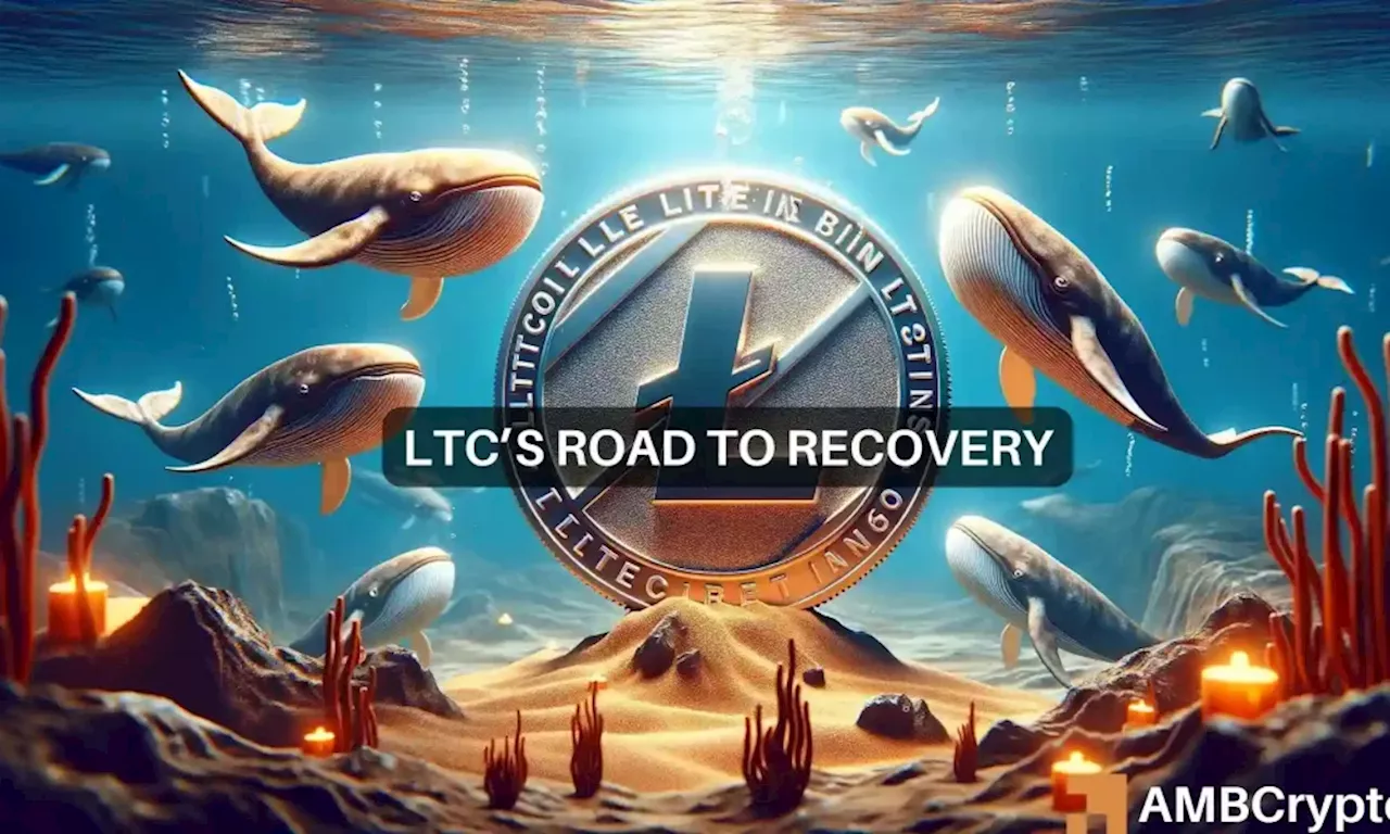 Litecoin’s 18% plunge attracts whales – Better things coming?