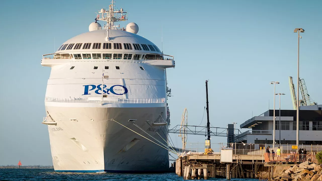 Urgent search for P&O cruise ship passenger feared to have fallen overboard near Sydney Harbour