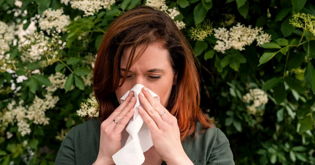 How to tell the difference between a cold and hay fever