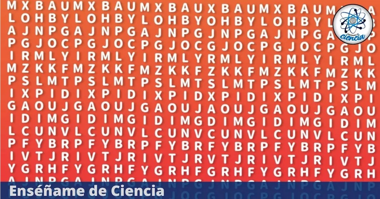 Acertijo visual: Encuentra las palabras CIENCIA, NIÑA y MUJER en la sopa de letras para INTELIGENTES