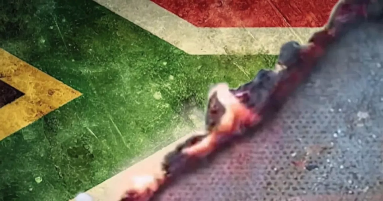 Kodwa condemns DA advert showing burning SA flag