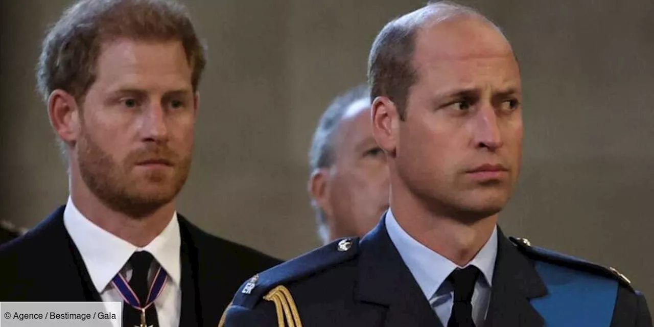 Le prince William en guerre contre Harry : pourquoi il “aura du mal à lui pardonner”