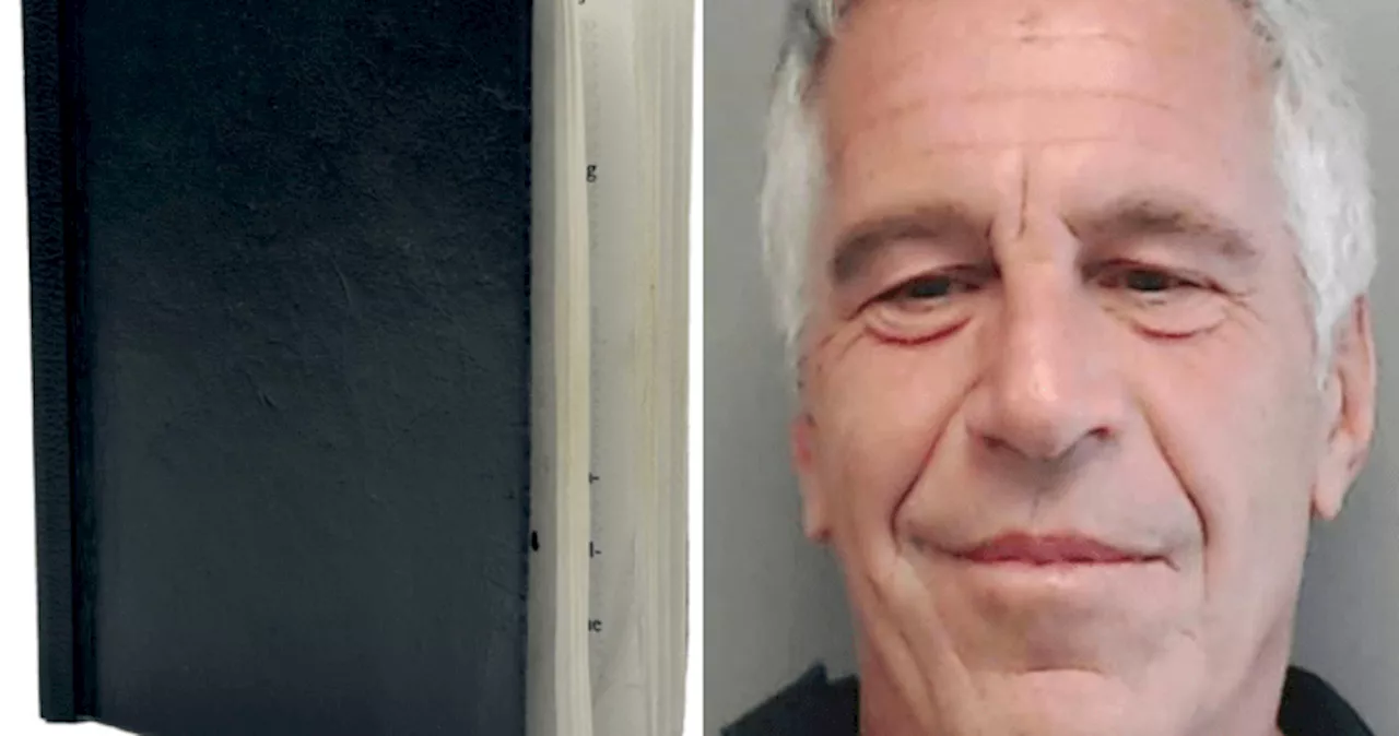 Jeffrey Epstein’s 2nd ‘black book’ of contacts heads to secret auction