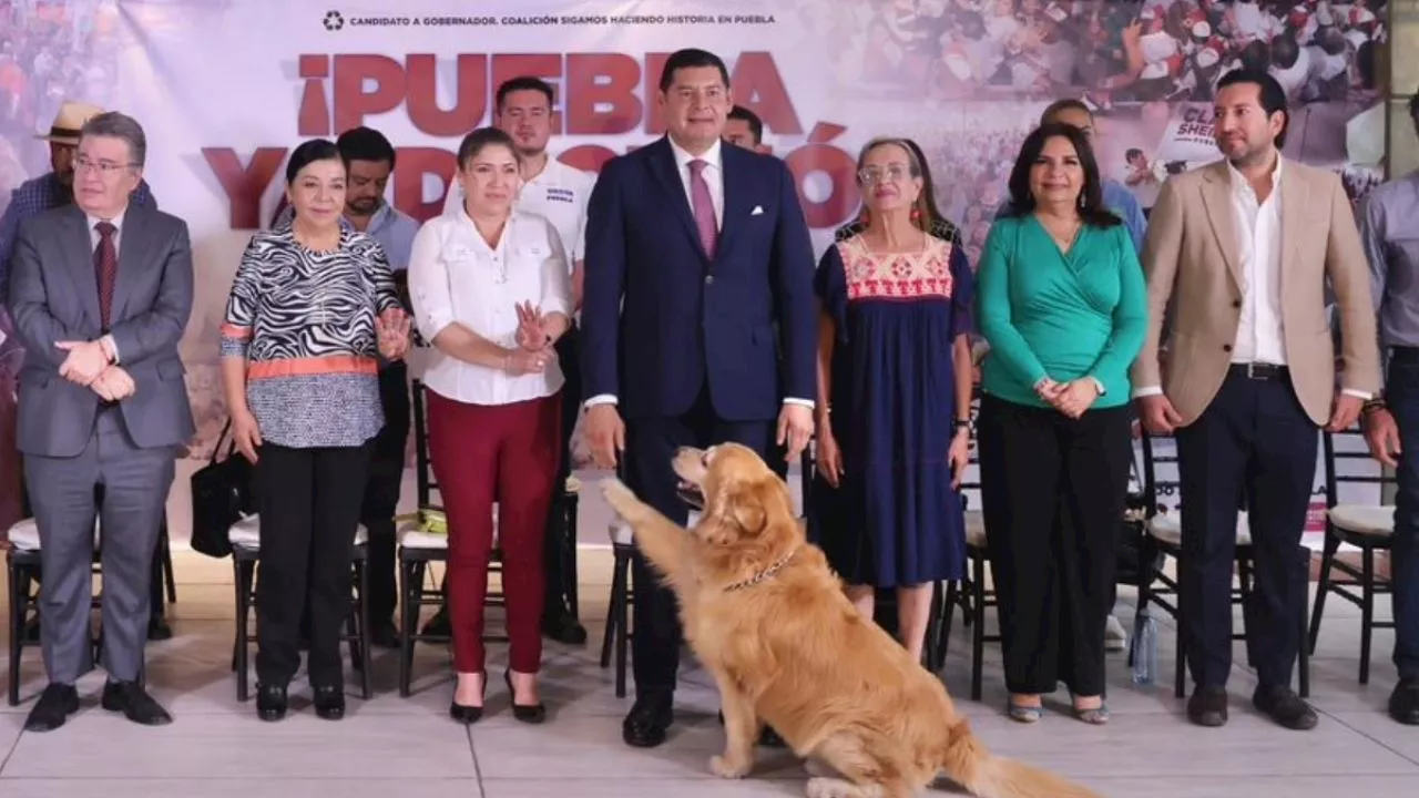 Alejandro Armenta, candidato a gobernador de Puebla, regulará el comercio animal