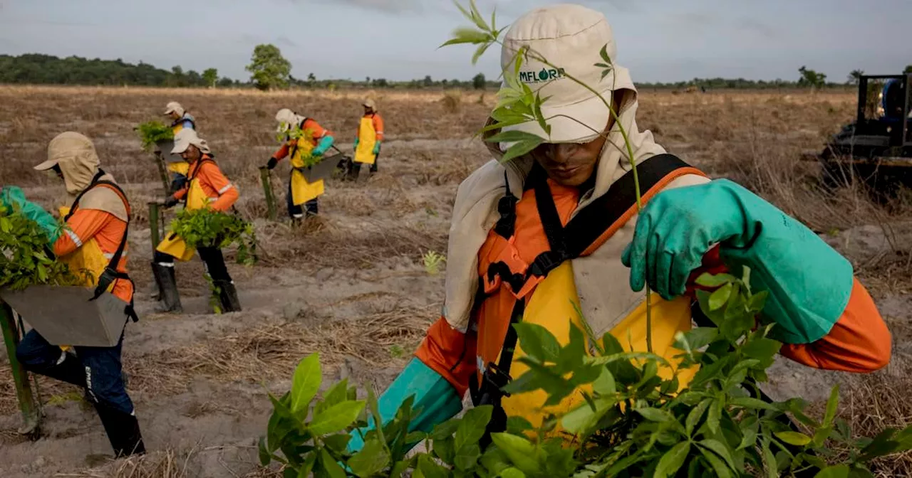 Climate victims testify at inter-American rights court in historic case