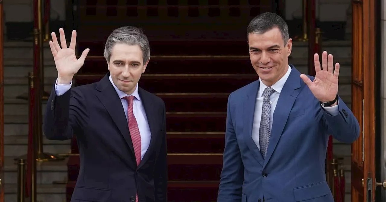 Taoiseach and Spanish PM reaffirm their wish to formally recognise Palestine