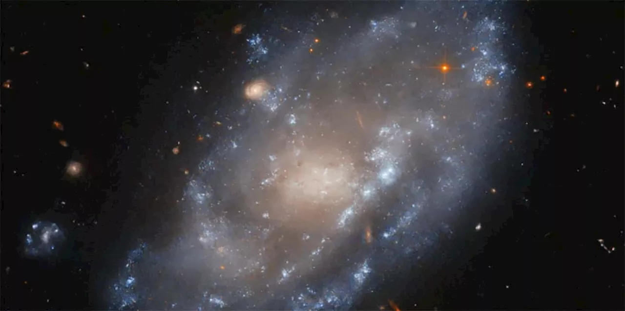 Hubble hunts visible light sources of X-rays