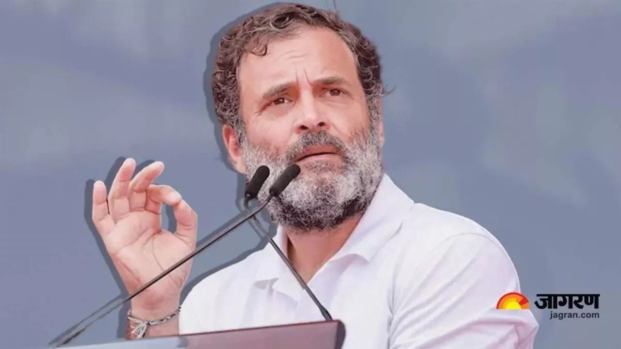 Rahul Gandhi: इन 25 कंपनियों में लगा है राहुल गांधी का पैसा, म्यूचुअल फंड और पीपीएफ में करोड़ों का निवेश, देखें पूरा ब्योरा