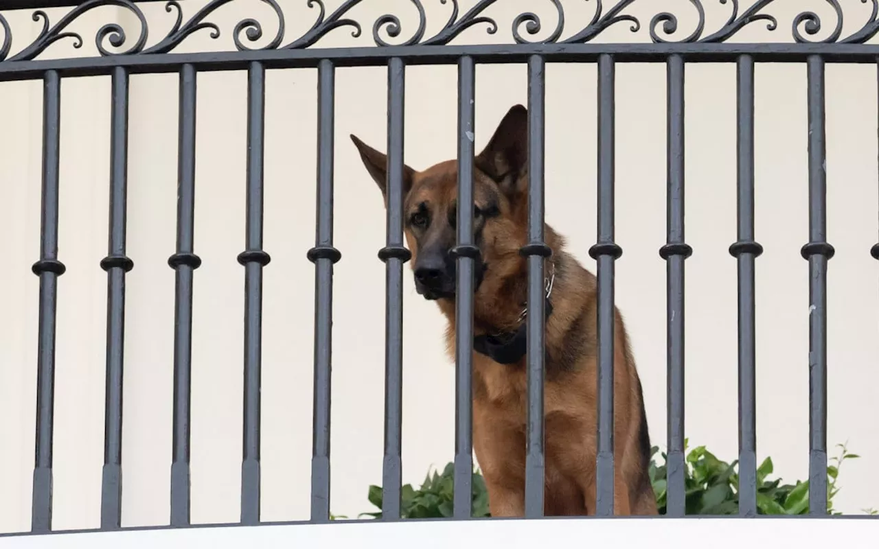 Republicana irrita Casa Branca por pedir morte de cão de Biden