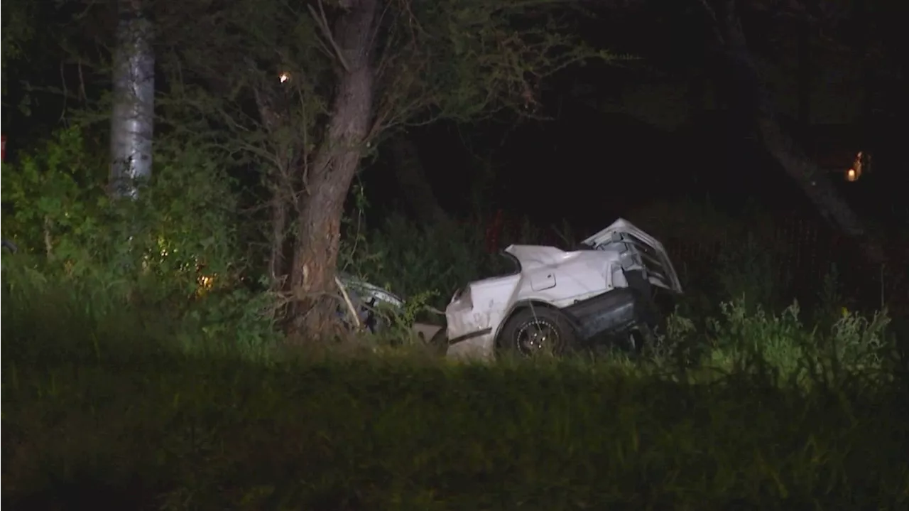 SAPD: Man dead after losing control of vehicle, hitting utility pole then wrapping car around tree