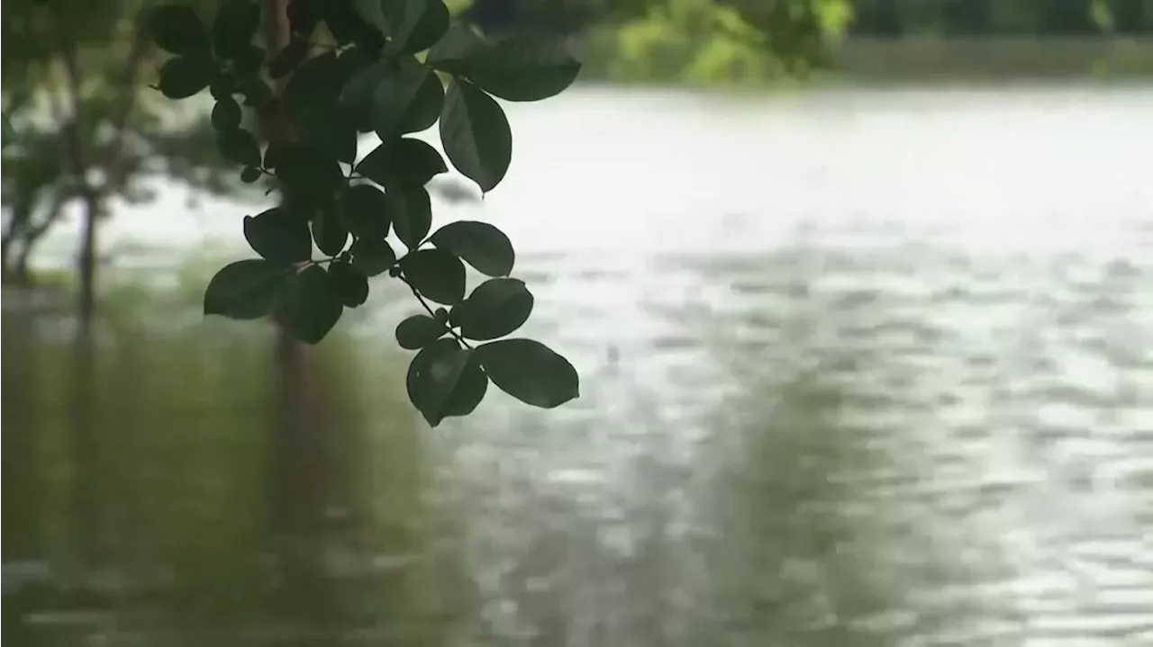 Texas flooding updates: Harris County officials to give update at 10 a.m.