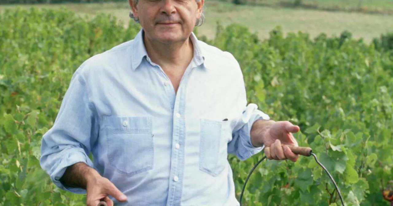 Mort de Bernard Pivot : la vigne entre les lignes